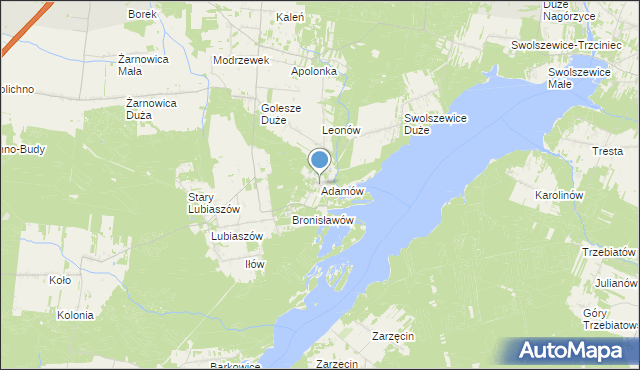 mapa Adamów, Adamów gmina Wolbórz na mapie Targeo