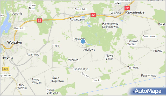 mapa Adolfowo, Adolfowo gmina Rakoniewice na mapie Targeo