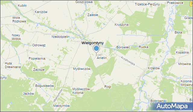 mapa Anielin, Anielin gmina Wielgomłyny na mapie Targeo