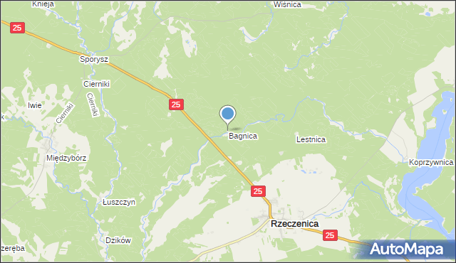 mapa Bagnica, Bagnica gmina Rzeczenica na mapie Targeo