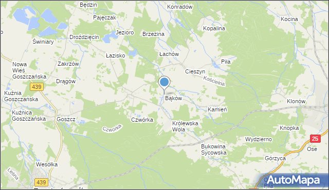 mapa Bąków, Bąków gmina Międzybórz na mapie Targeo