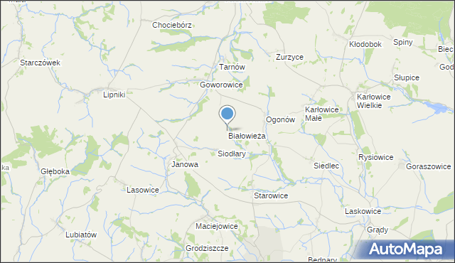 mapa Białowieża, Białowieża gmina Kamiennik na mapie Targeo