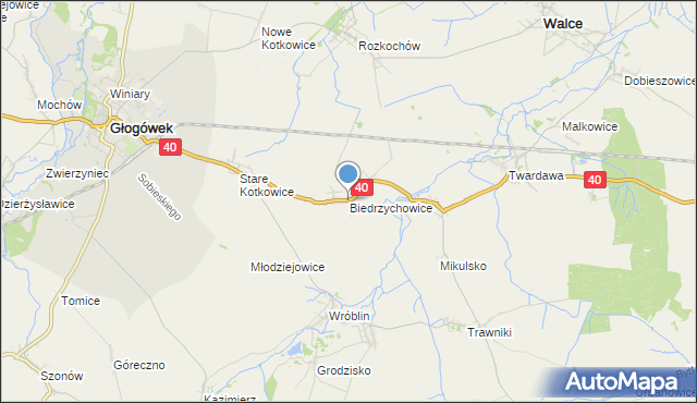 mapa Biedrzychowice, Biedrzychowice gmina Głogówek na mapie Targeo