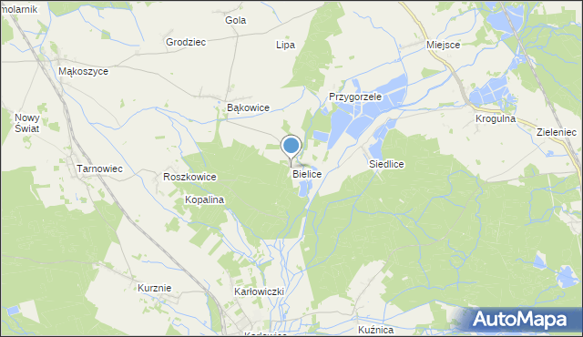 mapa Bielice, Bielice gmina Świerczów na mapie Targeo