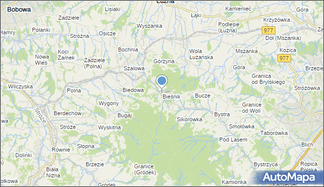 mapa Bieśnik, Bieśnik gmina Łużna na mapie Targeo
