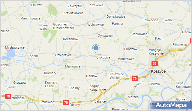 mapa Biskupice, Biskupice gmina Koszyce na mapie Targeo