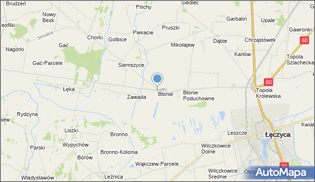 mapa Błonie, Błonie gmina Łęczyca na mapie Targeo