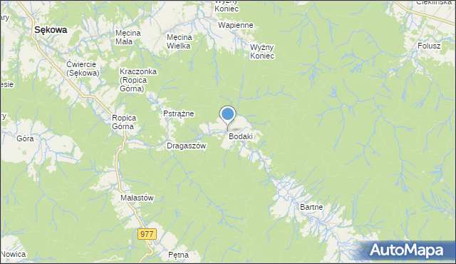 mapa Bodaki, Bodaki gmina Sękowa na mapie Targeo