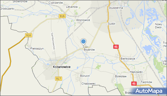 mapa Bojanów, Bojanów gmina Krzanowice na mapie Targeo