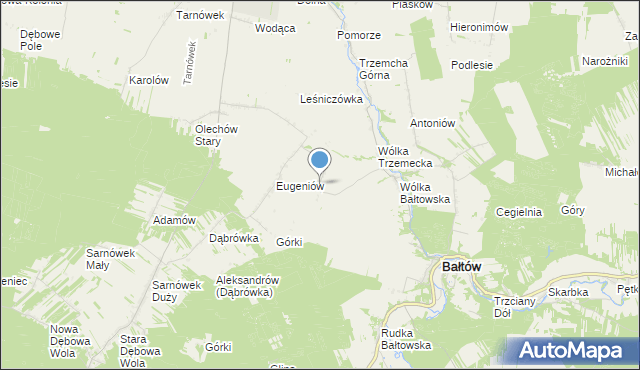 mapa Borcuchy, Borcuchy gmina Bałtów na mapie Targeo
