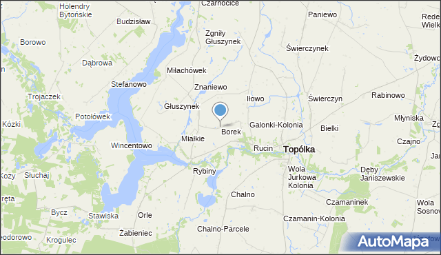 mapa Borek, Borek gmina Topólka na mapie Targeo