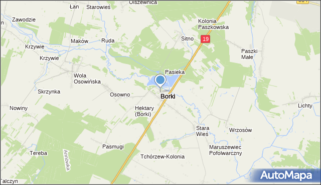 mapa Borki, Borki powiat radzyński na mapie Targeo