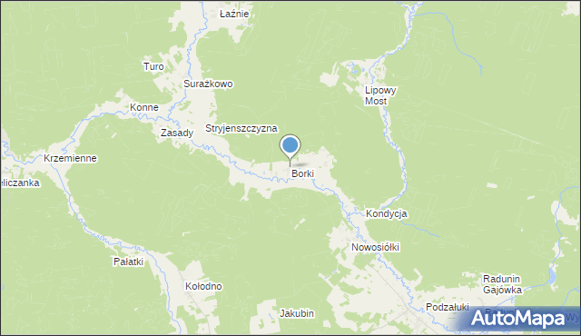 mapa Borki, Borki gmina Gródek na mapie Targeo