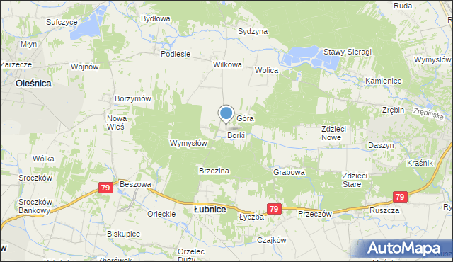 mapa Borki, Borki gmina Łubnice na mapie Targeo