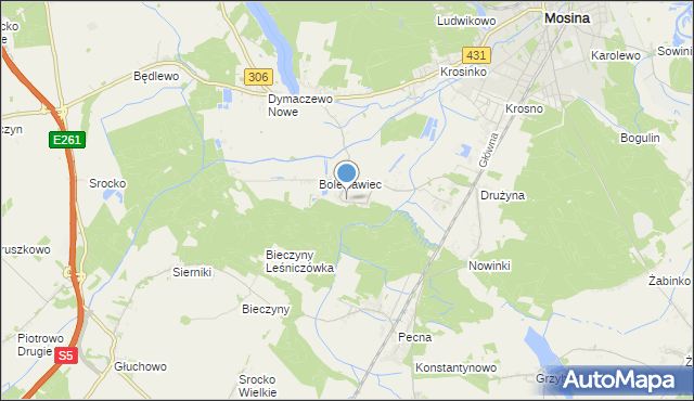 mapa Borkowice, Borkowice gmina Mosina na mapie Targeo