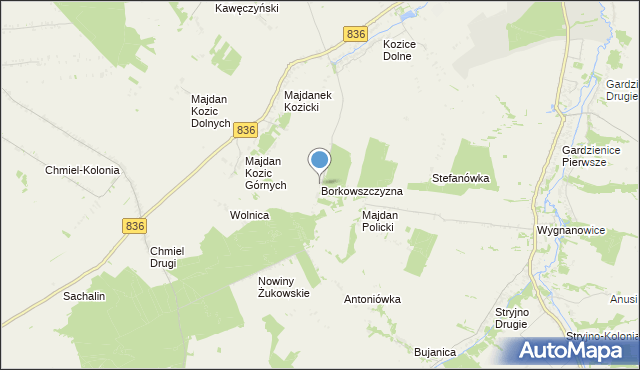 mapa Borkowszczyzna, Borkowszczyzna na mapie Targeo