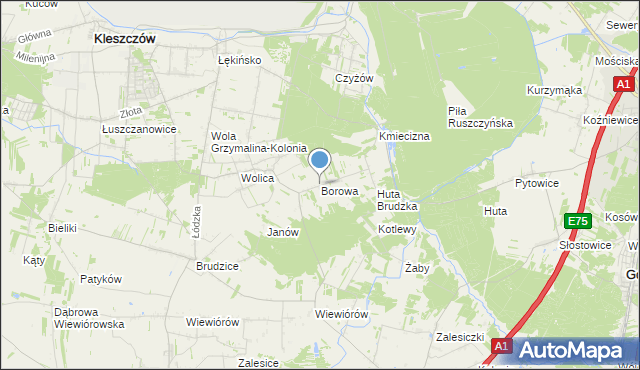 mapa Borowa, Borowa gmina Dobryszyce na mapie Targeo