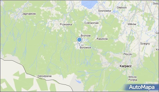 mapa Borowice, Borowice gmina Podgórzyn na mapie Targeo