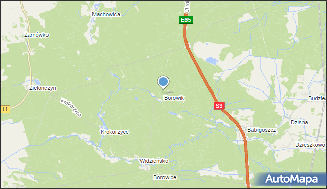 mapa Borowik, Borowik gmina Przybiernów na mapie Targeo