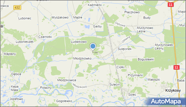 mapa Borowo, Borowo gmina Krzykosy na mapie Targeo