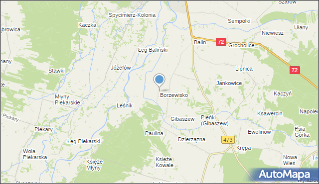 mapa Borzewisko, Borzewisko gmina Poddębice na mapie Targeo