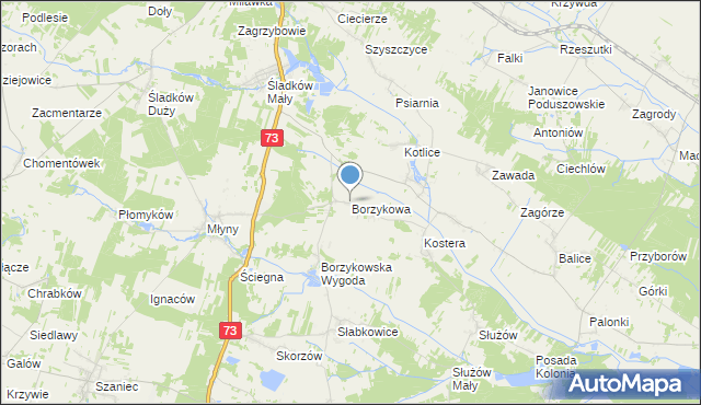 mapa Borzykowa, Borzykowa gmina Chmielnik na mapie Targeo