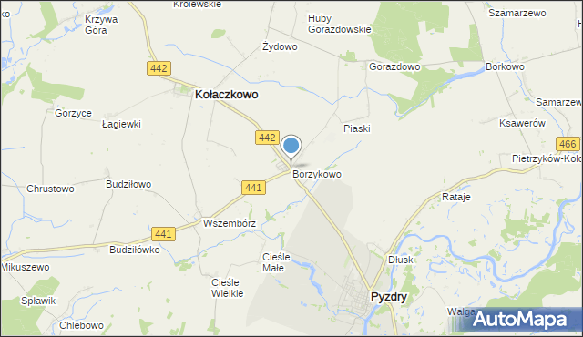 mapa Borzykowo, Borzykowo gmina Kołaczkowo na mapie Targeo