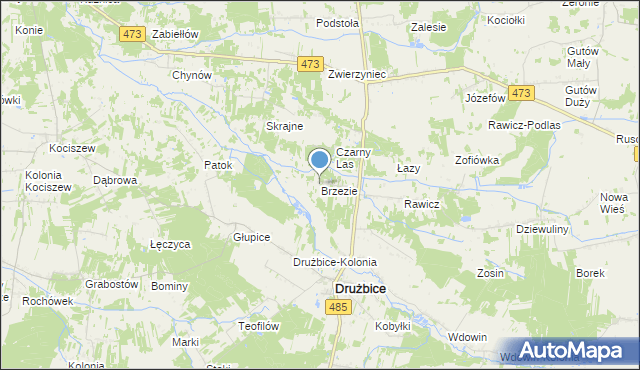 mapa Brzezie, Brzezie gmina Drużbice na mapie Targeo