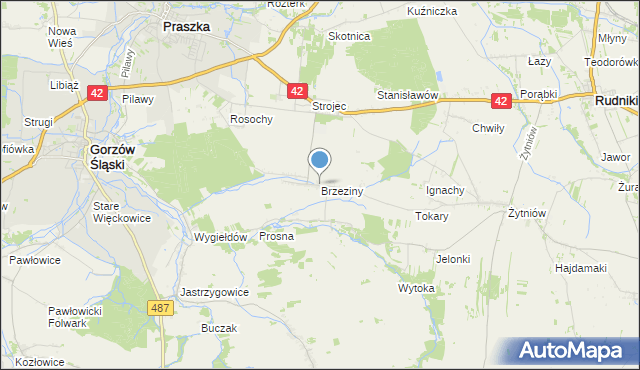 mapa Brzeziny, Brzeziny gmina Praszka na mapie Targeo