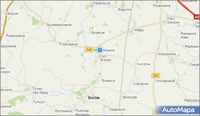 mapa Brzoza, Brzoza gmina Borów na mapie Targeo