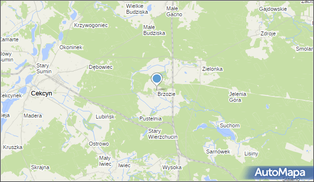 mapa Brzozie, Brzozie gmina Cekcyn na mapie Targeo