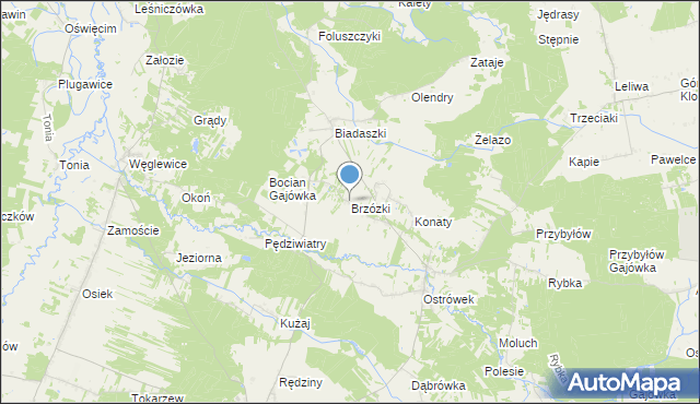 mapa Brzózki, Brzózki gmina Galewice na mapie Targeo