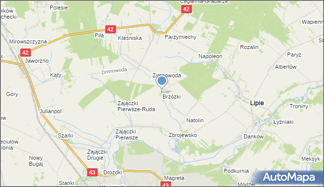 mapa Brzózki, Brzózki gmina Lipie na mapie Targeo