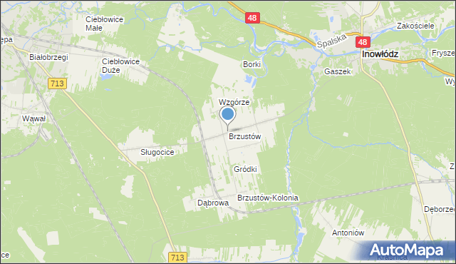 mapa Brzustów, Brzustów gmina Inowłódz na mapie Targeo