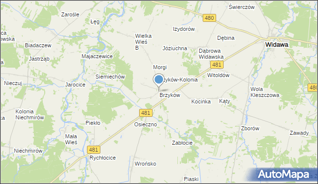 mapa Brzyków, Brzyków gmina Widawa na mapie Targeo