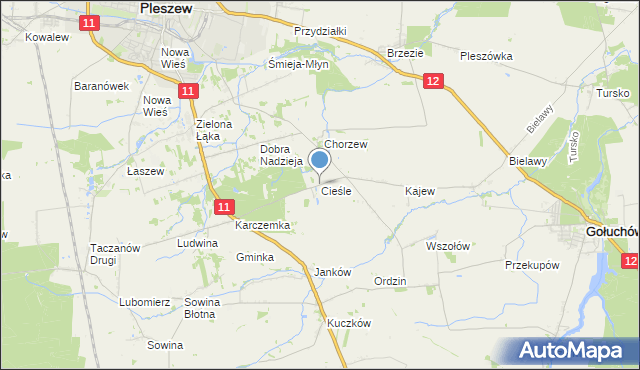 mapa Cieśle, Cieśle gmina Gołuchów na mapie Targeo