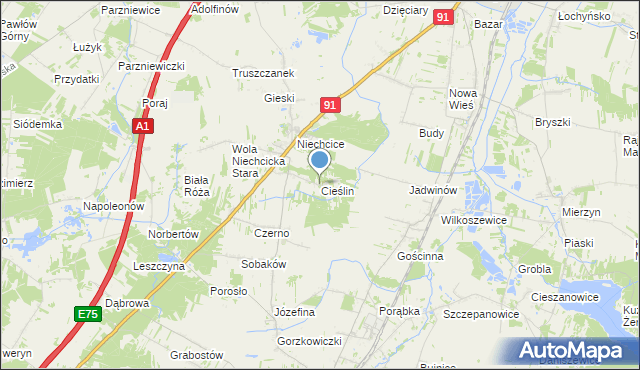 mapa Cieślin, Cieślin gmina Rozprza na mapie Targeo