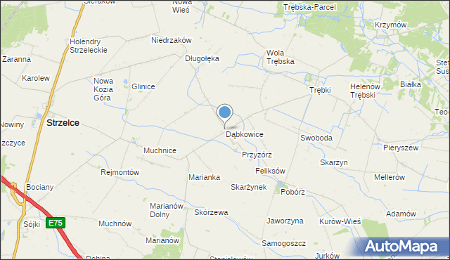mapa Dąbkowice, Dąbkowice gmina Strzelce na mapie Targeo