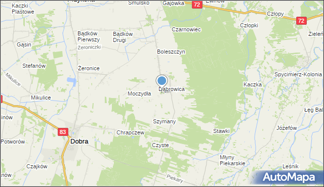 mapa Dąbrowica-Kolonia, Dąbrowica-Kolonia na mapie Targeo