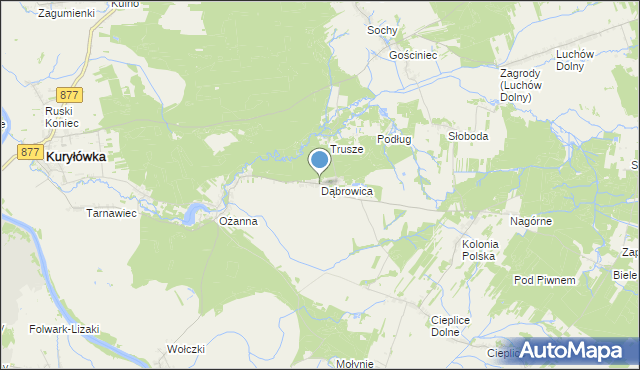 mapa Dąbrowica, Dąbrowica gmina Kuryłówka na mapie Targeo