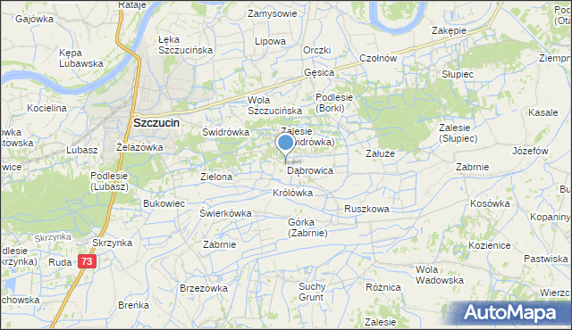 mapa Dąbrowica, Dąbrowica gmina Szczucin na mapie Targeo