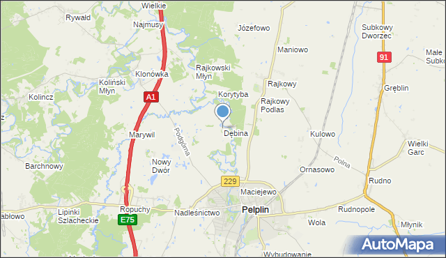 mapa Dębina, Dębina gmina Pelplin na mapie Targeo