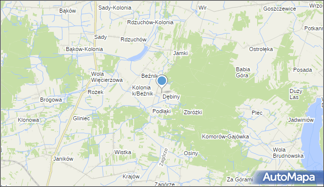 mapa Dębiny, Dębiny gmina Przysucha na mapie Targeo