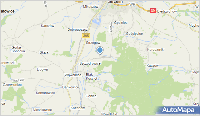 mapa Dębniki, Dębniki gmina Strzelin na mapie Targeo