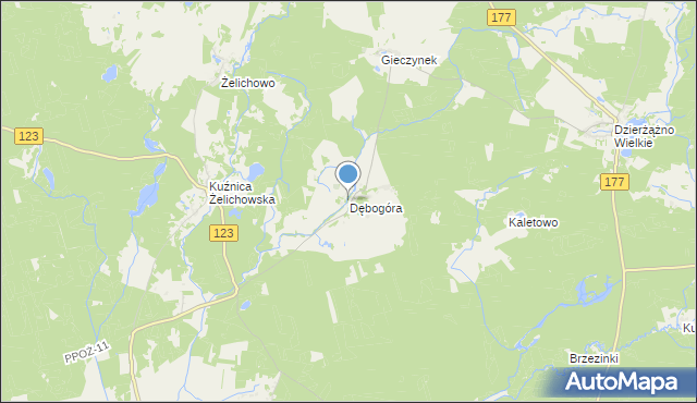 mapa Dębogóra, Dębogóra gmina Wieleń na mapie Targeo