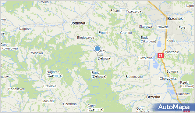 mapa Dębowa, Dębowa gmina Jodłowa na mapie Targeo