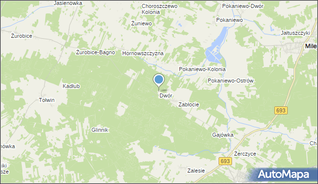 mapa Dwór, Dwór gmina Nurzec-Stacja na mapie Targeo