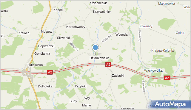 mapa Dziadkowskie-Folwark, Dziadkowskie-Folwark na mapie Targeo