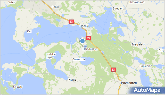 mapa Dziaduszyn, Dziaduszyn na mapie Targeo