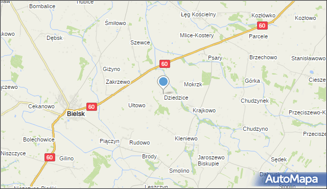 mapa Dziedzice, Dziedzice gmina Bielsk na mapie Targeo